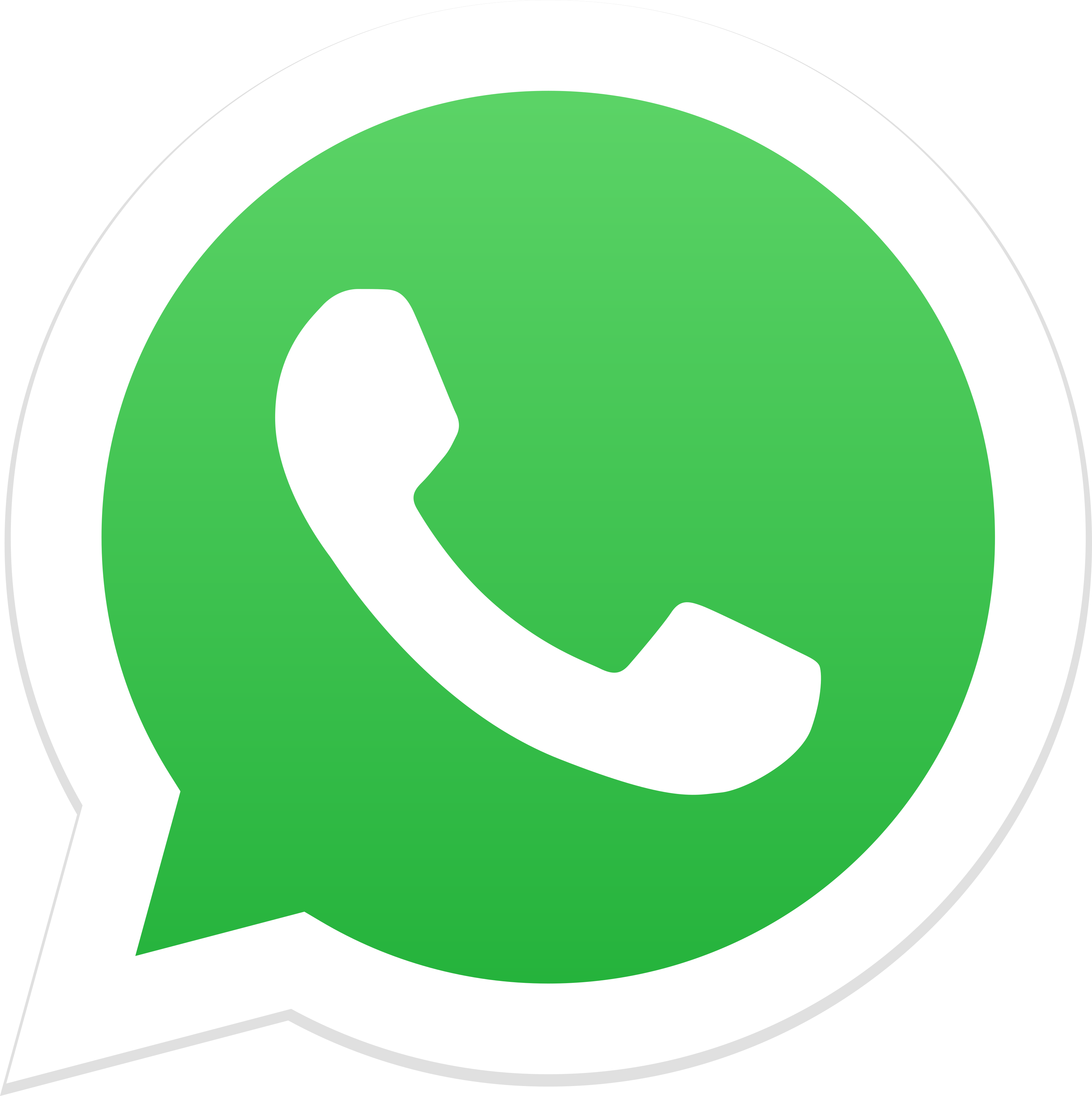 Logo Whatsapp Turbodal